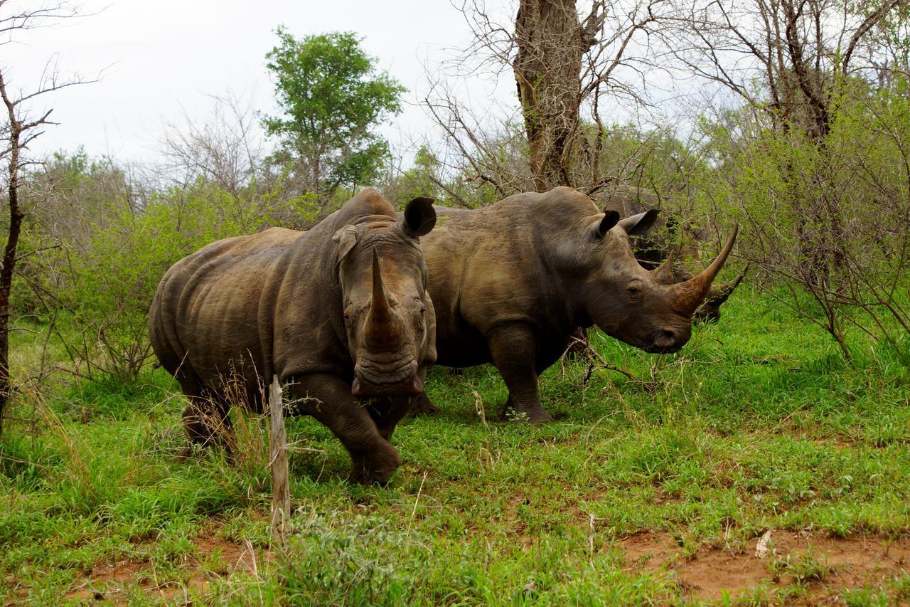 Marloth Park Hippo House Βίλα Εξωτερικό φωτογραφία